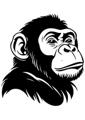 Fototapeta premium Black and white vector monkey illustration. Gorilla, macaque, wild animal. Line art for tattoo, logo, engraving, laser cutting, and design projects