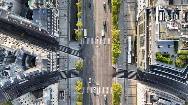 Top-down aerial view of Avenue des Champs-Elysees in Paris, France