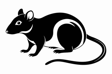 rat line art silhouette vector illustration