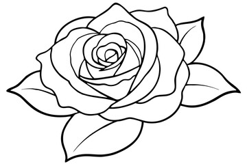 rose line art silhouette vector illustration