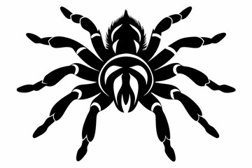 tarantula line art silhouette vector illustration