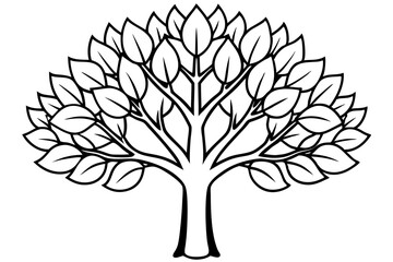 Obraz premium tree with leaves line art silhouette vector illustration