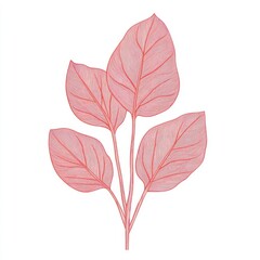 Obraz premium Delicate Pink Leaves: A Stunning Botanical Line Art Print