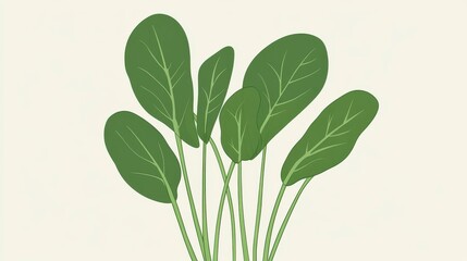 Obraz premium Elegant Green Leaves Design: A Fresh Botanical Illustration Print