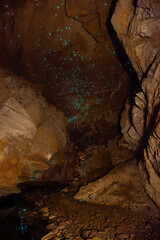 Mystery Creek Cave in Tasmanien. Eine Höhle im Inneren mit ganz vielen leuchtenden Glühwürmchen....