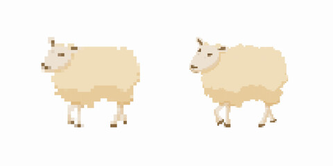 Two sheep with pale wool in a pixel style, simple and blocky, looking towards each other.
