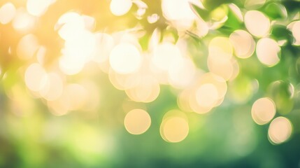 Obraz premium Nature's Soft Focus: Blurry Green Foliage and Sunlight Bokeh