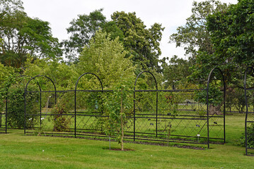 Botanical garden on summer time in Dublin City, Ireland