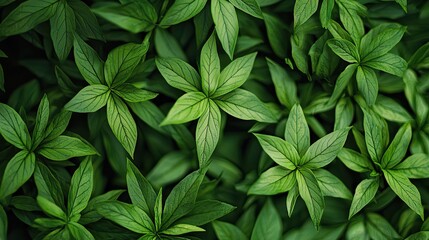 an image showcasing underlying patterns in green.