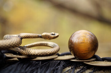 A statuette of a metal snake and a tiger's eye ball.