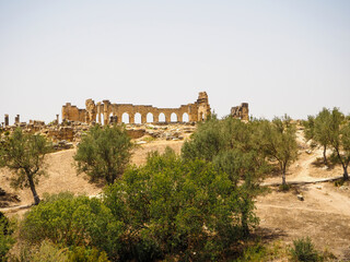Volubilis Berber-Roman City Ruins - Morocco