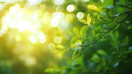 Obraz premium the play of light in abstract green designs.