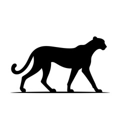 Fototapeta premium Walking big cat silhouette on white background