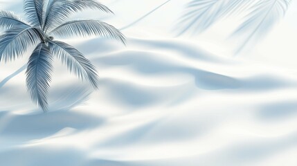 White sand beach with palm leaf shadow,light and airy,bright,flat lay background,copy space