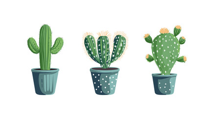 Set of three clean cactuses in decorative pots showcasing unique shapes and vibrant greens for indoor decoration