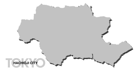 東京都八王子市の3D地図