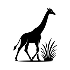 Fototapeta premium Giraffe near grass silhouette on white background