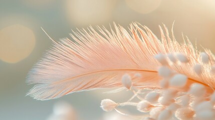 Soft peach feather, delicate background, light bokeh, close-up