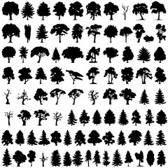 A collection of various tree silhouettes in different shapes and styles, including evergreen, deciduous, and leafless trees. The black silhouettes contrast against a white background, ideal for design