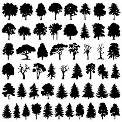 A collection of various tree silhouettes in different shapes and styles, including evergreen, deciduous, and leafless trees. The black silhouettes contrast against a white background, ideal for design