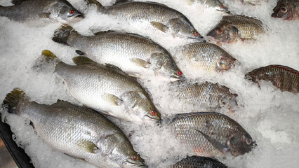 Fresh fish on ice at the fresh market.