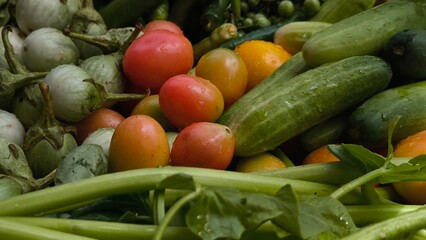 Fresh vegetables for cooking. Vegetables contain dietary fiber that helps cleanse the intestines.