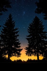 Silhouettes of trees against a night sky filled with stars. Sunset colors are visible in the foreground