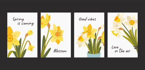 Floral posters. Gift cards with flat daffodils and spring wishes. Graphic illustration with flowers