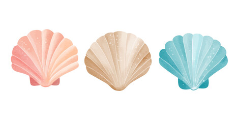 Watercolor shells. Aquarium elements. Sea flora illustration. Hand drawn underwater sea life