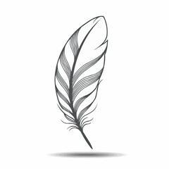 Obraz premium Elegant feather illustration on a white background, showcasing intricate details