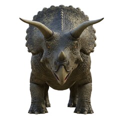 Fototapeta premium triceratops dinosaur front view
