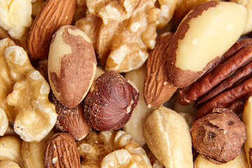 Close-up image of assorted mixed nuts, featuring almonds, walnuts, Brazil nuts, cashews, hazelnuts, and pecans. The natural textures and colors highlight their freshness and nutritional value