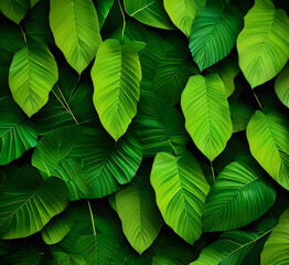 Fototapeta premium Green leaves background,A detailed view of a bunch,generative ai