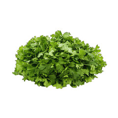 Obraz premium A small pile of fresh mint leaves with a crinkled surface and bright green color.