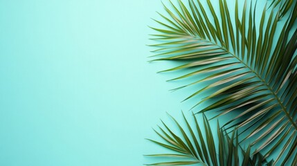 Obraz premium Bright Green Palm Leaves on Teal Background