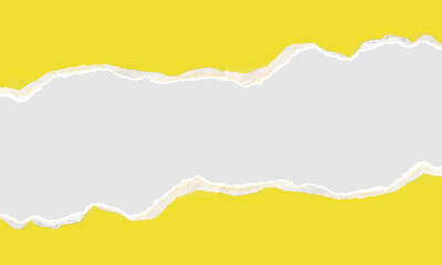 Orange and white torn paper background. Vector illustration of torn orange paper. 