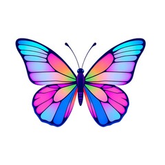 Obraz premium butterfly on a white background