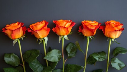 Fototapeta premium Five Vibrant Orange Roses Arranged in a Row Against a Dark Gray Background With Copy Space