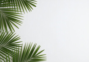 Fototapeta premium Minimalist Flat Lay of Monstera and Palm Leaves with White Copy Space – Tropical Botanical Background