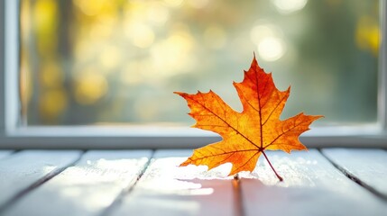 Autumn maple leaf on sunlit wooden surface in bright natural light.