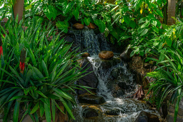 cascata de água com pedras e plantas