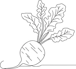 Minimalist Daikon Radish Sketch in Line Art