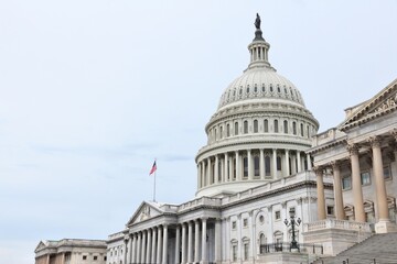 Obraz premium US National Capitol in Washington, DC