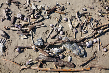 Strandgut / Müll am Strand von Sottomarina bei Chiaggio - Venezien, Italien, Mittelmeer