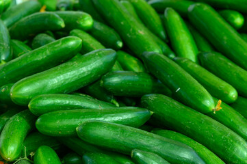 Freshly harvested cucumbers piled high at a vibrant farmers' market in mid-summer