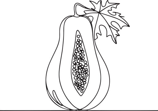 recommend clip art: Minimalist Line Art of a Papaya Fruit