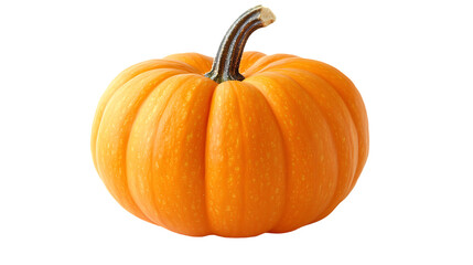 Obraz premium An orange pumpkin with a thick stem sits in isolation
