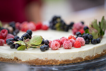 Cheescake topped with raspberries and chokeberries. Summer party cake with berries. No bake cheesecake with a rich cheesy filling and crunchy base. 