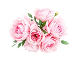 Delicate blush peonies & pink roses watercolor bouquet, white background , peonies, watercolor