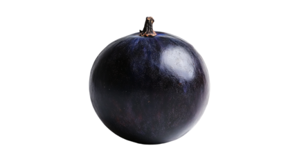 Single black plum with stem isolated on black background